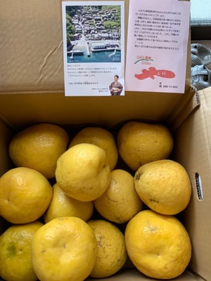 お礼の品の感想画像 1