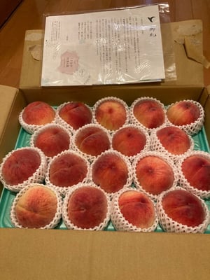 お礼の品の感想画像 1