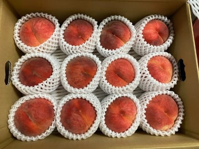 お礼の品の感想画像 1