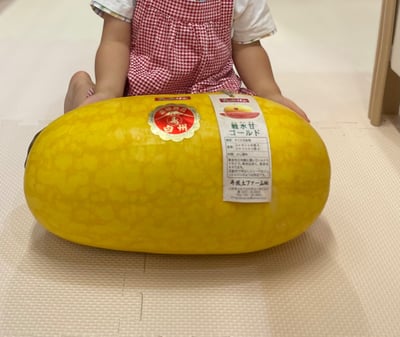 お礼の品の感想画像 1