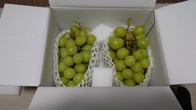 お礼の品の感想画像 1