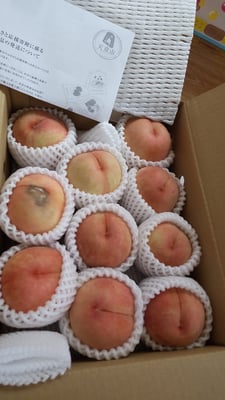 お礼の品の感想画像 1