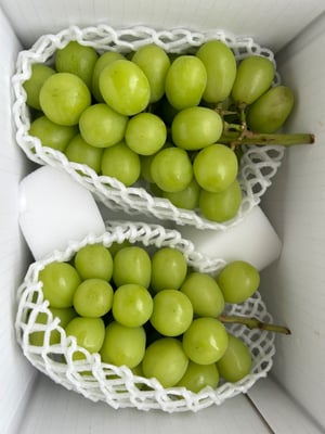 お礼の品の感想画像 1
