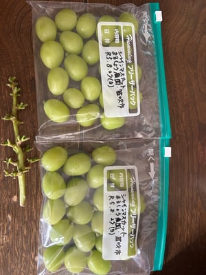 お礼の品の感想画像 2