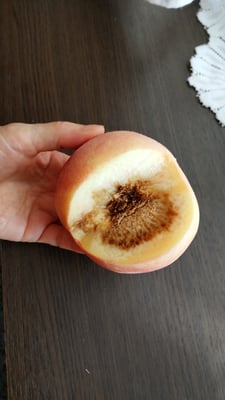 お礼の品の感想画像 3
