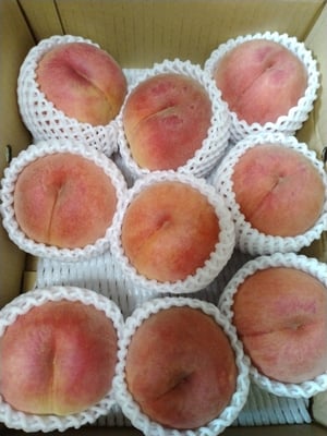 お礼の品の感想画像 1