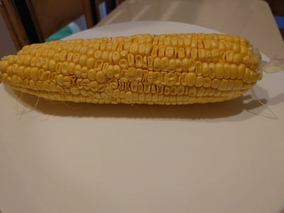 お礼の品の感想画像 1