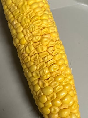 お礼の品の感想画像 1