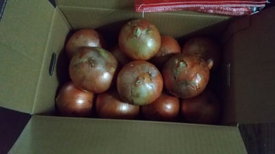 お礼の品の感想画像 2