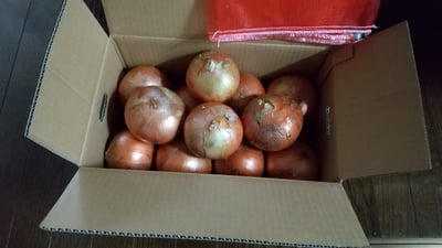 お礼の品の感想画像 3