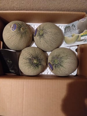お礼の品の感想画像 1
