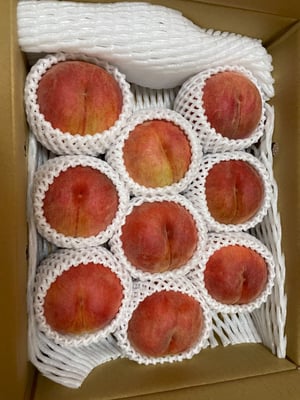 お礼の品の感想画像 1
