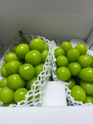 お礼の品の感想画像 1