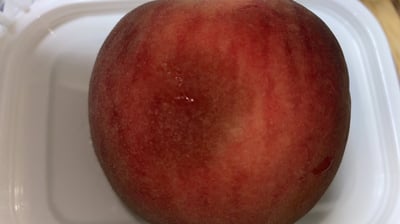 お礼の品の感想画像 2