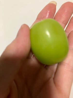 お礼の品の感想画像 2