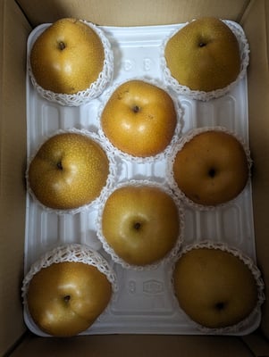 お礼の品の感想画像 1