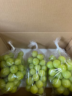 お礼の品の感想画像 1