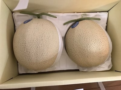お礼の品の感想画像 1