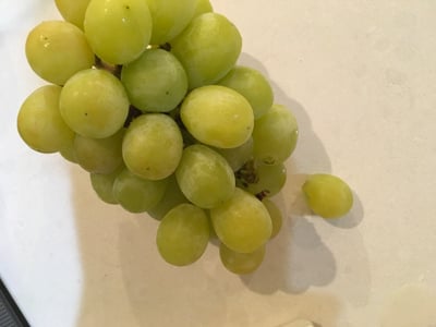 お礼の品の感想画像 1