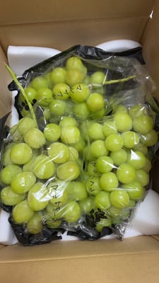 お礼の品の感想画像 1