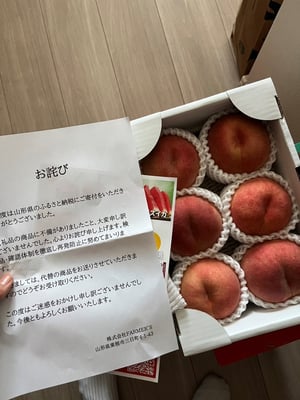 お礼の品の感想画像 2