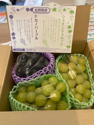 お礼の品の感想画像 1