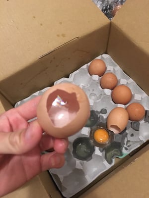 お礼の品の感想画像 3