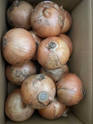 お礼の品の感想画像 1