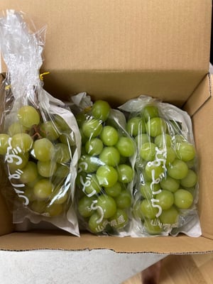 お礼の品の感想画像 1
