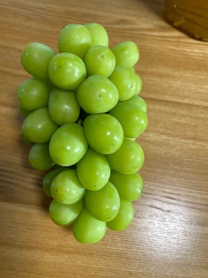 お礼の品の感想画像 1