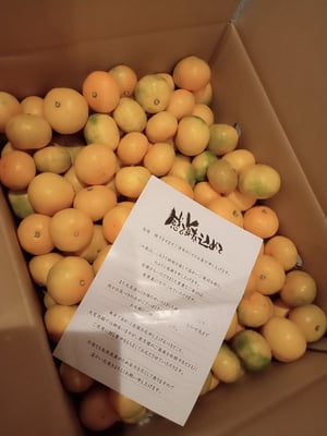 お礼の品の感想画像 1