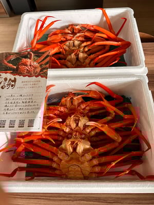 お礼の品の感想画像 1