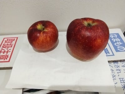 お礼の品の感想画像 1