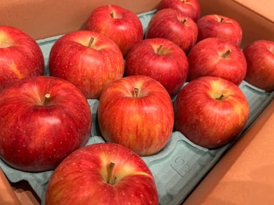 お礼の品の感想画像 1