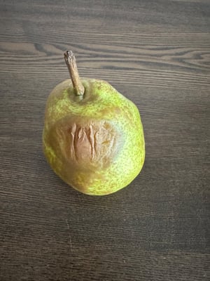 お礼の品の感想画像 2