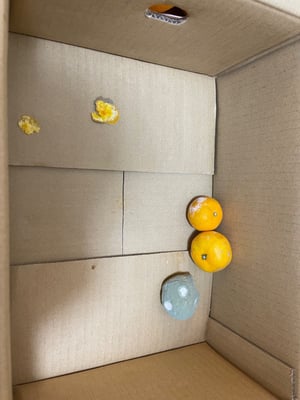 お礼の品の感想画像 1