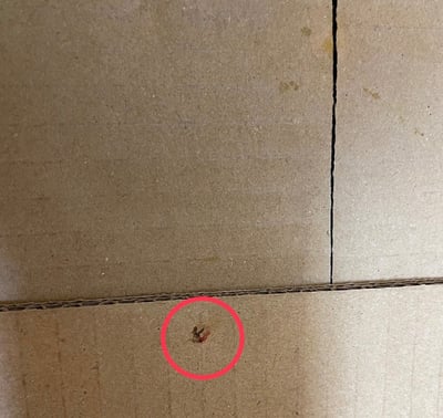 お礼の品の感想画像 2