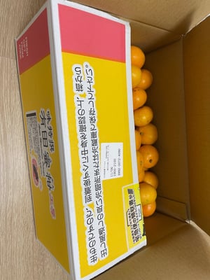 お礼の品の感想画像 3