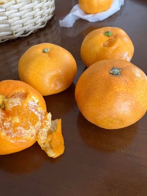 お礼の品の感想画像 1