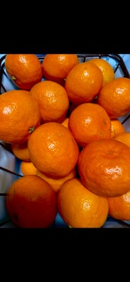 お礼の品の感想画像 1