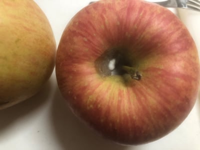 お礼の品の感想画像 1