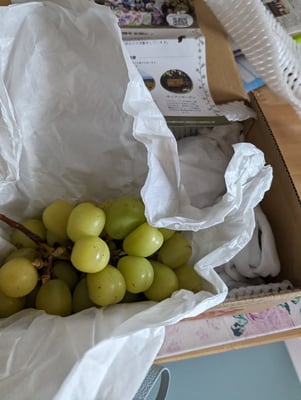 お礼の品の感想画像 1
