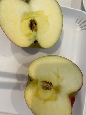 お礼の品の感想画像 1