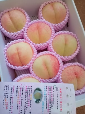 07-07-006 もも(秋香雪桃)2.5kg - 山形県天童市｜ふるさと