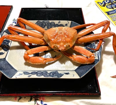 お礼の品の感想画像 1