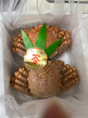 お礼の品の感想画像 1