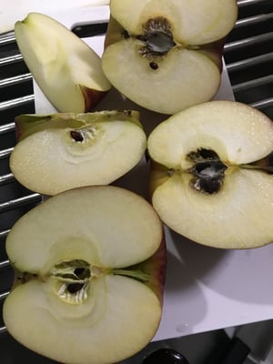 お礼の品の感想画像 1