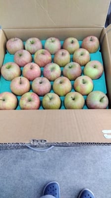 お礼の品の感想画像 2