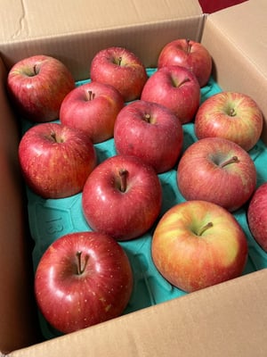 お礼の品の感想画像 1