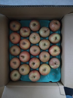 お礼の品の感想画像 1